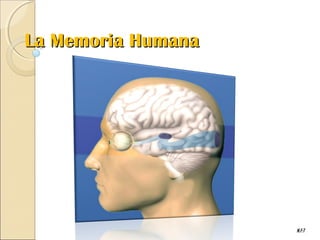 La Memoria HumanaLa Memoria Humana
N.F:T
 