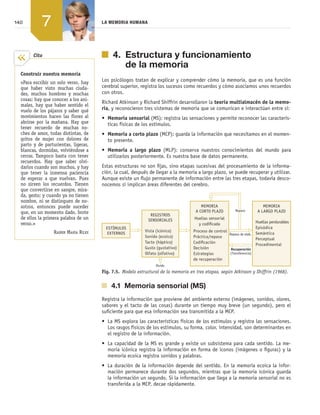 140 LA MEMORIA HUMANA
7
  4. Estructura y funcionamiento
de la memoria
Los psicólogos tratan de explicar y comprender cómo la memoria, que es una función
cerebral superior, registra los sucesos como recuerdos y cómo asociamos unos recuerdos
con otros.
Richard Atkinson y Richard Shiffrin desarrollaron la teoría multialmacén de la memo-
ria, y reconocieron tres sistemas de memoria que se comunican e interactúan entre sí:
•	 Memoria sensorial (MS): registra las sensaciones y permite reconocer las caracterís­
ticas físicas de los estímulos.
•	 Memoria a corto plazo (MCP): guarda la información que necesitamos en el momen­
to presente.
•	 Memoria a largo plazo (MLP): conserva nuestros conocimientos del mundo para
utilizarlos posteriormente. Es nuestra base de datos permanente.
Estas estructuras no son fijas, sino etapas sucesivas del procesamiento de la informa­
ción, la cual, después de llegar a la memoria a largo plazo, se puede recuperar y utilizar.
Aunque existe un flujo permanente de información entre las tres etapas, todavía desco­
nocemos si implican áreas diferentes del cerebro.
Olvido
Recuperación
(Transferencia)
Repaso de elab.
REGISTROS
SENSORIALES
Vista (icónico)
Sonido (ecoico)
Tacto (háptico)
Gusto (gustativo)
Olfato (olfativo)
ESTÍMULOS
EXTERNOS
MEMORIA
A CORTO PLAZO
Huellas sensorial
y codiﬁcada
Proceso de control
Práctica/repaso
Codiﬁcación
Decisión
Estrategias
de recuperación
Repaso
MEMORIA
A LARGO PLAZO
Huellas perdurables
Episódica
Semántica
Perceptual
Procedimental
Fig. 7.5.  Modelo estructural de la memoria en tres etapas, según Atkinson y Shiffrin (1968).
  4.1  Memoria sensorial (MS)
Registra la información que proviene del ambiente externo (imágenes, sonidos, olores,
sabores y el tacto de las cosas) durante un tiempo muy breve (un segundo), pero el
suficiente para que esa información sea transmitida a la MCP.
•	 La MS explora las características físicas de los estímulos y registra las sensaciones.
Los rasgos físicos de los estímulos, su forma, color, intensidad, son determinantes en
el registro de la información.
•	 La capacidad de la MS es grande y existe un subsistema para cada sentido. La me­
moria icónica registra la información en forma de iconos (imágenes o figuras) y la
memoria ecoica registra sonidos y palabras.
•	 La duración de la información depende del sentido. En la memoria ecoica la infor­
mación permanece durante dos segundos, mientras que la memoria icónica guarda
la información un segundo. Si la información que llega a la memoria sensorial no es
transferida a la MCP, decae rápidamente.
Construir nuestra memoria
«Para escribir un solo verso, hay
que haber visto muchas ciuda-
des, muchos hombres y muchas
cosas; hay que conocer a los ani-
males, hay que haber sentido el
vuelo de los pájaros y saber qué
movimientos hacen las flores al
abrirse por la mañana. Hay que
tener recuerdo de muchas no-
ches de amor, todas distintas, de
gritos de mujer con dolores de
parto y de parturientas, ligeras,
blancas, dormidas, volviéndose a
cerrar. Tampoco basta con tener
recuerdos. Hay que saber olvi-
darlos cuando son muchos, y hay
que tener la inmensa paciencia
de esperar a que vuelvan. Pues
no sirven los recuerdos. Tienen
que convertirse en sangre, mira-
da, gesto; y cuando ya no tienen
nombre, ni se distinguen de no-
sotros, entonces puede suceder
que, en un momento dado, brote
de ellos la primera palabra de un
verso.»
Rainer María Rilke
Cita
133-152_Ud07_PSICO.indd 140 24/11/11 10:41
 