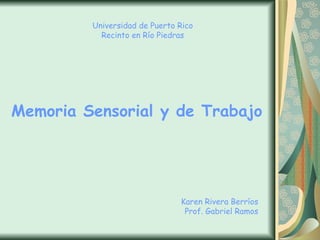 Universidad de Puerto Rico Recinto en Río Piedras Karen Rivera Berríos Prof. Gabriel Ramos Memoria Sensorial y de Trabajo 