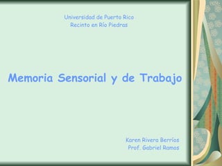 Universidad de Puerto Rico Recinto en Río Piedras Karen Rivera Berríos Prof. Gabriel Ramos Memoria Sensorial y de Trabajo 