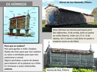 OS HÓRREOS
Para que se usaban?
Pois para gardar o millo. Estaban
illados do chan para que non subisen
os ratos e ventilados para que non
podrecese o cereal.
Algúns pechaban a parte de abaixo
para botaren alí as patacas ou a leña.
En Vimianzo a estes chámanlles
celeiros.
Dous hórreos na mesma parroquia pero
ben diferentes. O de arriba, feito en pedra
ao estilo fisterrá, mide uns 17 m. O de
abaixo, ten 3 claros e está feito en pedra e
madeira coma os da Maía.
Hórreo de San Mamede, Piñeiro
Hórreo de Rúa, Piñeiro
 