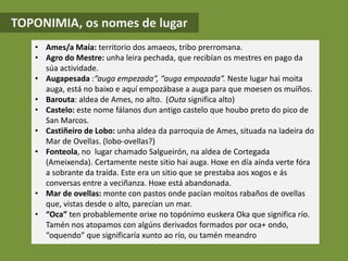 • Ames/a Maía: territorio dos amaeos, tribo prerromana.
• Agro do Mestre: unha leira pechada, que recibían os mestres en pago da
súa actividade.
• Augapesada :“auga empezada”, “auga empozada”. Neste lugar hai moita
auga, está no baixo e aquí empozábase a auga para que moesen os muíños.
• Barouta: aldea de Ames, no alto. (Outa significa alto)
• Castelo: este nome fálanos dun antigo castelo que houbo preto do pico de
San Marcos.
• Castiñeiro de Lobo: unha aldea da parroquia de Ames, situada na ladeira do
Mar de Ovellas. (lobo-ovellas?)
• Fonteola, no lugar chamado Salgueirón, na aldea de Cortegada
(Ameixenda). Certamente neste sitio hai auga. Hoxe en día aínda verte fóra
a sobrante da traída. Este era un sitio que se prestaba aos xogos e ás
conversas entre a veciñanza. Hoxe está abandonada.
• Mar de ovellas: monte con pastos onde pacían moitos rabaños de ovellas
que, vistas desde o alto, parecían un mar.
• “Oca” ten probablemente orixe no topónimo euskera Oka que significa río.
Tamén nos atopamos con algúns derivados formados por oca+ ondo,
“oquendo” que significaría xunto ao río, ou tamén meandro
TOPONIMIA, os nomes de lugar
 