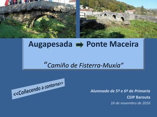 Augapesada Ponte Maceira
“Camiño de Fisterra-Muxía”
 