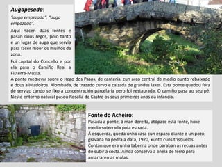 A ponte medieval sobre o Rego dos Pasos, de cantería, cun arco central de medio punto rebaixado
e dous aliviadoiros. Alombada, de trazado curvo e calzada de grandes laxes. Esta ponte quedou fóra
de servizo cando se fixo a concentración parcelaria pero foi restaurada. O camiño pasa ao seu pé.
Neste entorno natural pasou Rosalía de Castro os seus primeiros anos da infancia.
Augapesada:
“auga empezada”, “auga
empozada”.
Aquí nacen dúas fontes e
pasan dous regos, polo tanto
é un lugar de auga que servía
para facer moer os muíños da
zona.
Foi capital do Concello e por
ela pasa o Camiño Real a
Fisterra-Muxía.
Fonte do Acheiro:
Pasada a ponte, á man dereita, atópase esta fonte, hoxe
media soterrada pola estrada.
Á esquerda, queda unha casa cun espazo diante e un pozo;
gravada na pedra a data, 1920, xunto cuns trísquelos.
Contan que era unha taberna onde paraban as recuas antes
de subir a costa. Aínda conserva a anela de ferro para
amarraren as mulas.
 