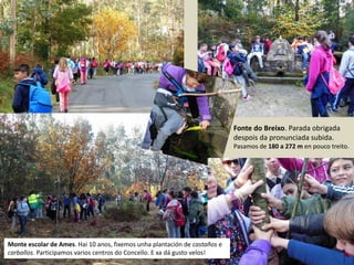 Monte escolar de Ames. Hai 10 anos, fixemos unha plantación de castaños e
carballos. Participamos varios centros do Concello. E xa dá gusto velos!
Fonte do Breixo. Parada obrigada
despois da pronunciada subida.
Pasamos de 180 a 272 m en pouco treito.
 