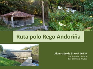 Ruta polo Rego Andoriña
Alumnado de 3º e 4º de E.P.
17 de novembro de 2016
1 de decembro de 2016
 