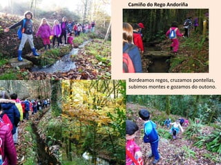 Camiño do Rego Andoriña
Bordeamos regos, cruzamos pontellas,
subimos montes e gozamos do outono.
 