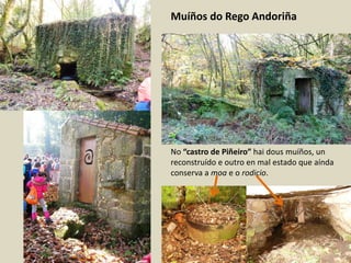 No “castro de Piñeiro” hai dous muíños, un
reconstruído e outro en mal estado que aínda
conserva a moa e o rodicio.
Muíños do Rego Andoriña
 