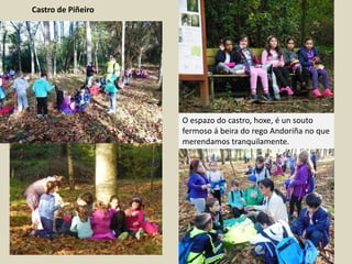 Castro de Piñeiro
O espazo do castro, hoxe, é un souto
fermoso á beira do rego Andoriña no que
merendamos tranquilamente.
 