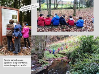 Tempo para observar,
aprender e repoñer forzas
antes de seguir o camiño.
 