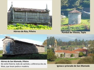 Hórreo de San Mamede, Piñeiro
De estilo fisterrá, todo de cachote, a diferenza dos da
Maía, que levan pedra e madeira.
Hórreo de Rúa, Piñeiro Pombal de Vilouta, Tapia
Igrexa e priorado de San Mamede
 
