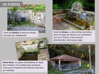 Fonte do Breixo, no alto de Mar de Ovellas.
Serve de lugar de refresco aos camiñantes
que van a Fisterra. Está un pouco
abandonada e deita pouca auga.
Fonte do Acheiro, á beira da calzada
que pasa por Augapesada.
Fonte Santa, na capela da Madalena en Tapia.
Moi visitada e moi coidada pola veciñanza.
Crese que é milagreira para doenzas dos ósos,
por exemplo.
AS FONTES
 