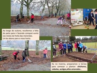 Ao longo do outono, recollemos a folla
do patio para ir facendo compost xunto
cos restos da froita das merendas.
Un bo abono para o noso horto.
Xa no inverno, preparamos o terreo
para comezar a plantar: chícharos,
cebolas, acelgas,allos amorodos…
 