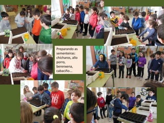 Preparando as
sementeiras:
chícharos, allo
porro,
berenxena,
cabaciño...
 