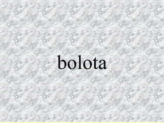 bolota
bolota