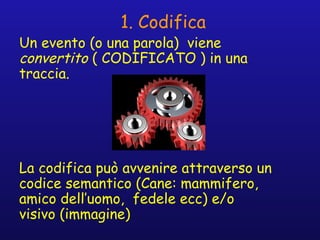 1. Codifica
Un evento (o una parola) viene
convertito ( CODIFICATO ) in una
traccia.
La codifica può avvenire attraverso un
codice semantico (Cane: mammifero,
amico dell’uomo, fedele ecc) e/o
visivo (immagine)
 