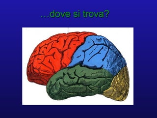 ……dove si trova?dove si trova?
 
