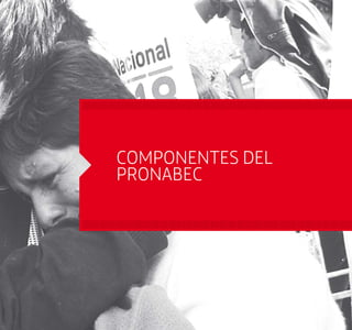 COMPONENTES DEL 
PRONABEC 
 