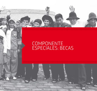 COMPONENTE 
ESPECIALES: BECAS 
 