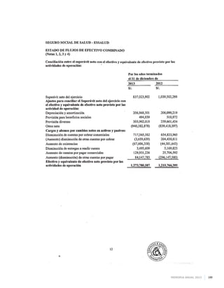 Memoria anual 2013 199
 