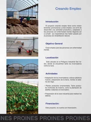 Creando Empleo 
Introducción 
El proyecto creando empleo tiene como misión 
fomentar, promocionar y crear empleo, con el fín de 
desarrollar una actividad productiva y adaptada a 
las personas con enfermedad mental, llegando así 
a cumplir sus expectativas tras haber pasado por 
el proceso de rehabilitación laboral. 
Objetivo General 
Crear empleo para las personas con enfermedad 
mental. 
Localización 
Está ubicado en el Polígono Industrial San Isi-dro, 
donde se encuentran tanto los invernaderos 
como la nave. 
Actividades 
• Adaptación de los invernaderos: colocar plásticos 
nuevos, preparación de la tierra, montar el siste-ma 
de riego. 
• Plantar productos ornamentales. Tanto produc-tos 
hortícolas de invierno, como la plantación de 
adelfas rodeando el invernadero. 
• Preparación de la nave industrial para realizar los 
talleres. 
Financiación: 
Este proyecto, no cuenta con financiación. 
PROINES PROINES PROINES PROINES 
 