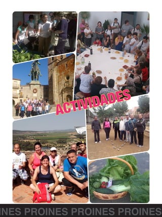 INES PROINES PROINES PROINES
 