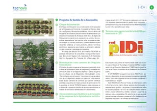 Memoria Anual 2014
43
6I+D+i
A largo del año 2014, CT Tecnova ha colaborado con más de
120 empresas asesorándolas en gestión de la innovación y
participando en algunas de las fases de los diferentes proyec-
tos de I+D+i acometidos por éstas.
Tecnova como agente local de la Red PIDI per-
teneciente al CDTI
Esta iniciativa fue puesta en marcha desde 2006 por el Cen-
tro para el Desarrollo Tecnológico Industrial (CDTI) en colabo-
ración con la Dirección General de PYMES bajo la coordina-
ción de la Oficina Económica de la Presidencia de Gobierno
(OEP).
El CT TECNOVA es agente local de la RED PI+D+i, po-
niendo a disposición de las empresas tres agentes especiali-
zados. Todos estos agentes actúan de manera coordinada y
supervisada por el CDTI.
Esta RED PI+D+i (Red de Puntos de Información sobre
I+D+i), tiene como misión ofrecer servicios de información y
asesoramiento gratuito a empresas y emprendedores sobre
las ayudas públicas a la I+D+i de cualquier ámbito adminis-
trativo – local, autonómico, estatal y europeo -, que más se
adecuen a sus necesidades. De esta forma, lo que se persi-
gue es impulsar la inversión privada en I+D+i, facilitando a las
empresas el acceso a las fuentes de financiación.
Proyectos de Gestión de la Innovación
Cheque de Innovación
El Cheque de Innovación es un instrumento de financiación
de la Consejería de Economía, Innovación y Ciencia, dirigi-
do a las Pymes y Micropymes andaluzas, incluido dentro del
Programa de Incentivos para el Fomento de la Innovación y el
Desarrollo Empresarial de Andalucía 2008-2013. El objeto del
Cheque de Innovación es la prestación de servicios de con-
sultoría especializada, que permita a las empresas andalu-
zas mejorar su proceso productivo, contratar asistencia para
desarrollar o fabricar un nuevo producto, utilizar el comercio
electrónico, asesorarse para mejorar su actividad o elaborar
un plan comercial o estrategia de marketing.
A lo largo del ejercicio 2014, la Fundación TECNOVA ha
prestado este servicio de consultoría a las siguientes empre-
sas; Bionutrición Vegetal, S.A.; Agroclean, S.A.; Nutrientes
Alvi, S.L.; Agrogenia, S.L.; Tubocás, S.L. y Resbioagro, S.L.
Homologación como asesores del Programa
Innocámaras
El objetivo de este programa es favorecer la adopción de la
cultura de la innovación entre las pequeñas y medianas em-
presas situadas en las regiones Objetivo 1. Dicho programa
tiene dos fases, una de ‘Diagnóstico individualizado’, y otra,
‘Plan de Apoyo a la Innovación’. La primera incluye la realiza-
ción de un diagnóstico asistido por parte del tutor especia-
lizado de las Cámaras de Comercio que permite identificar
posibles actuaciones de mejora a través de la innovación. En
la segunda, es donde TECNOVA asesora a las empresas en
el desarrollo y puesta en práctica de las recomendaciones en
materia de innovación identificadas en la fase anterior.
Asesoramiento para Gestión de la Innovación
de las empresas de la Agroindustria hortofru-
tícola
 