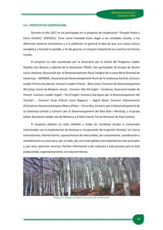 34
MEMORIA ANUAL 2017
Asociación TEDER
4.3.- PROYECTO DE COOPERACIÓN.
Durante el año 2017 se ha participado en el proyecto de cooperación "Energia Forest y
Canvi Climàtic" (ENFOCC). Tiene como finalidad hacer llegar a las entidades locales, a los
diferentes sectores económicos y a la población en general la idea de que una nueva cultura
energética y forestal es posible, a fin de generar un impacto importante en nuestros territorios
rurales.
El proyecto ha sido coordinado por la Associació per la Gestió del Programa Leader
Ripollès Ges Bisaura y además de la Asociación TEDER, han participado 10 Grupos de Acción
Local catalanes (Associació per al Desenvolupament Rural Integral de la zona Nord-Oriental de
Catalunya – ADRINOC, Associació pel Desenvolupament Rural de la Catalunya Central, Consorci
Leader Pirineu Occidental -Consorci Leader Priorat – Baix Camp i Consorci de Desenvolupament
Alt Camp, Conca de Barberà i Anoia-, Consorci GAL Alt Urgell – Cerdanya, Associació Leader de
Ponent -Consorci Leader Urgell – Pla d’Urgell i Consorci Garrigues per al Desenvolupament del
Territori- , Consorci Grup d’Acció Local Noguera – Segrià Nord, Consorci Intercomarcal
d’Iniciatives Socioeconòmiques Ribera d’Ebre – Terra Alta, Consorci per al Desenvolupament de
la Catalunya Central y Consorci per al Desenvolupament del Baix Ebre i Montsià), y el grupo
balear Asociacion Leader Isla de Menorca y el GAL francés Terres Romanes de Pays Catalan.
El proyecto plantea un valor añadido a todas las iniciativas locales o comarcales
relacionadas con la implantación de biomasa y recuperación de la gestión forestal. Un marco
transnacional, interterritorial, supracomarcal de intercambio, de conocimiento, coordinación y
sensibilización es clave para, por un lado, dar una visión global a las experiencias más puntuales
y, por otra, optimizar recursos, facilitar información y dar robustez a este proceso que se está
produciendo, espontáneamente, en estos territorios.
Imagen 12. Bosque de hayas en la Junta de Limitaciones.
 