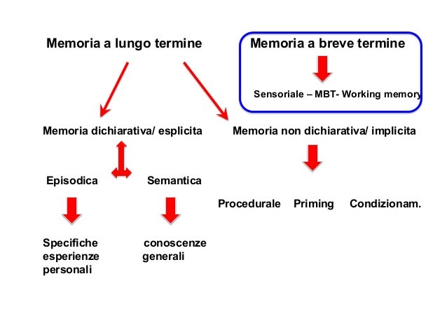 Memoria A Breve Termine Test Per Bambini Memoria 3