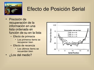 Efecto de Posición Serial Precisión de recuperación de la información en una lista ordenada en función de su en la lista Efecto de primacia Los primeros items se recuperan bien Efecto de recencia Los últimos ítems se recuerdan bien ¿Los del medio? 