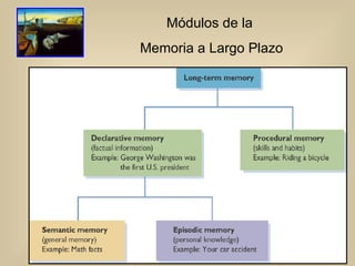 Módulos de la  Memoria a Largo Plazo 