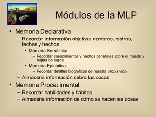 Módulos de la MLP Memoria Declarativa Recordar información objetiva: nombres, rostros, fechas y hechos Memoria Semántica Recordar conocimientos y hechos generales sobre el mundo y reglas de lógica Memoria Episódica Recordar detalles biográficos de nuestra propia vida Almacena información sobre las cosas Memoria Procedimental Recordar habilidades y hábitos Almacena información de cómo se hacen las cosas 