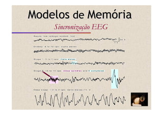 ModelosModelos dede MemMemóóriaria
SincronizaSincronizaççãoão EEGEEG
 