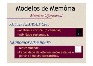 •Anatomia cortical (6 camadas).
•Atividade sustentada.
•Anatomia cortical (6 camadas).
•Atividade sustentada.
REDES NEURAIS CPF:REDES NEURAIS CPF:
ModelosModelos dede MemMemóóriaria
MemMemóóriaria OperacionalOperacional
NEURÔNIOS PIRAMIDAIS:NEURÔNIOS PIRAMIDAIS:
•Biestabilidade.
•Capacidade de alternar entre estados a
partir de inputs excitatórios.
•Biestabilidade.
•Capacidade de alternar entre estados a
partir de inputs excitatórios.
 