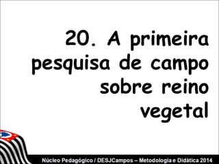 20. A primeira 
pesquisa de campo 
sobre reino 
vegetal 
 