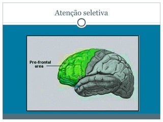 Atenção seletiva 
 