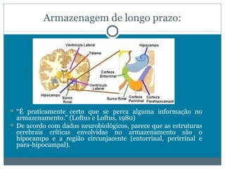 Armazenagem de longo prazo: 
“É praticamente certo que se perca alguma informação no 
armazenamento.” (Loftus e Loftus, 1980) 
De acordo com dados neurobiológicos, parece que as estruturas 
cerebrais críticas envolvidas no armazenamento são o 
hipocampo e a região circunjacente (entorrinal, perirrinal e 
para-hipocampal). 
 