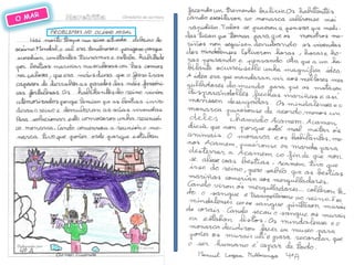 Memoria Biblioteca 07 08 Imaxes