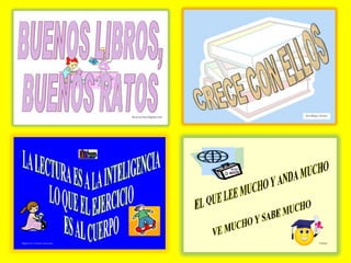 Memoria Biblioteca 07 08 Imaxes