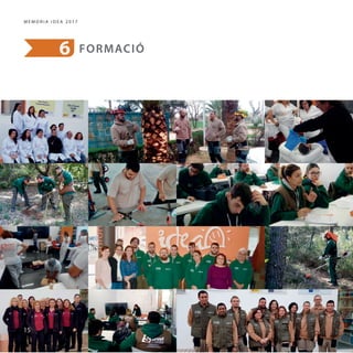 Memòria IDEA Alzira 2017