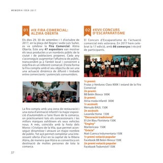 Memòria IDEA Alzira 2017