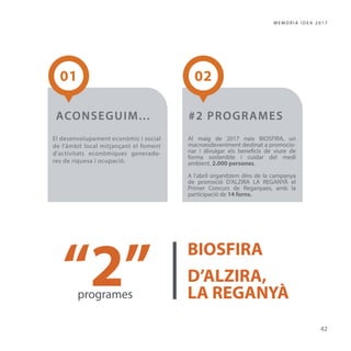 Memòria IDEA Alzira 2017