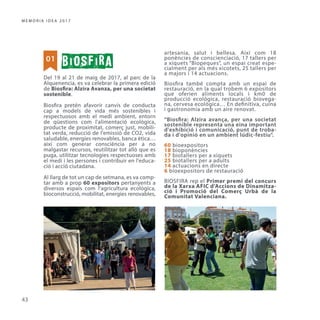 Memòria IDEA Alzira 2017