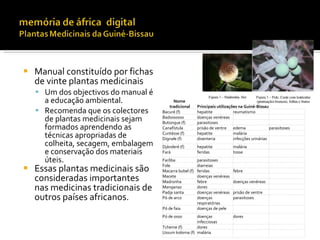    Manual constituído por fichas
    de vinte plantas medicinais
     Um dos objectivos do manual é
      a educação ambiental.                Nome
                                         tradicional      Principais utilizações na Guiné-Bissau
     Recomenda que os colectores     Bacuré (f)          hepatite            reumatismo
      de plantas medicinais sejam     Badossosso
                                      Butonque (f)
                                                          doenças venéreas
                                                          parasitoses
      formados aprendendo as          Canafístula         prisão de ventre edema                  parasitoses
      técnicas apropriadas de         Cuntésse (f)
                                      Dignale (f)
                                                          hepatite
                                                          disenteria
                                                                              malária
                                                                              infecções urinárias
      colheita, secagem, embalagem    Djánderé (f)        hepatite           malária
      e conservação dos materiais     Fará                feridas            tosse
      úteis.                          Farôba              parasitoses

   Essas plantas medicinais são      Fole
                                      Macarra bubel (f)
                                                          diarreias
                                                          feridas            febre
    consideradas importantes          Macete
                                      Madronha
                                                          doenças venéreas
                                                          febre              doenças venéreas
    nas medicinas tradicionais de     Manganaz
                                      Padja santa
                                                          dores
                                                          doenças venéreas   prisão de ventre
    outros países africanos.          Pó de arco          doenças
                                                          respiratórias
                                                                             parasitoses

                                      Pó de faia          doenças de pele
                                      Pó de osso       doenças               dores
                                                       infecciosas
                                      Tcheme (f)       dores
                                      Ussum koloma (f) malária
 