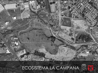 ECOSISTEMA LA CAMPANA
 