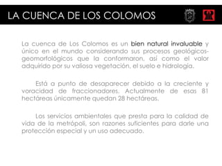 LA CUENCA DE LOS COLOMOS

  La cuenca de Los Colomos es un bien natural invaluable y
  único en el mundo considerando sus procesos geológicos-
  geomorfológicos que la conformaron, así como el valor
  adquirido por su valiosa vegetación, el suelo e hidrología.

      Está a punto de desaparecer debido a la creciente y
  voracidad de fraccionadores. Actualmente de esas 81
  hectáreas únicamente quedan 28 hectáreas.

      Los servicios ambientales que presta para la calidad de
  vida de la metrópoli, son razones suficientes para darle una
  protección especial y un uso adecuado.
 