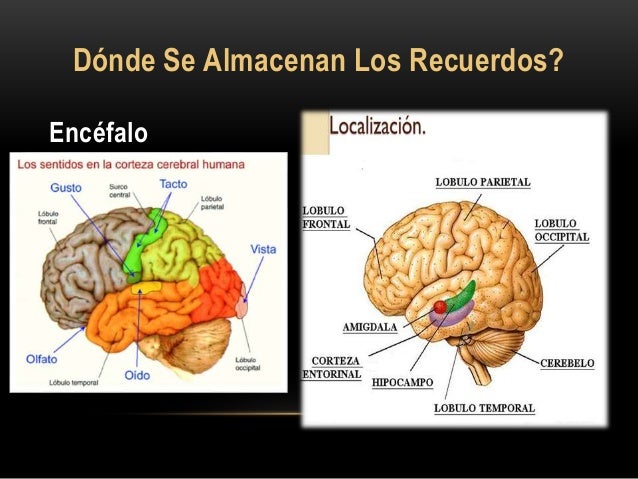 la-memoria