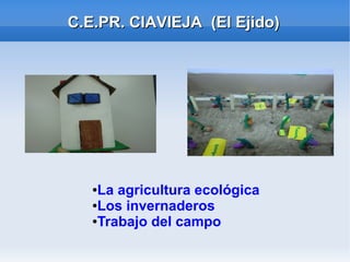 C.E.PR. CIAVIEJA (El Ejido)C.E.PR. CIAVIEJA (El Ejido)
●La agricultura ecológica
●Los invernaderos
●Trabajo del campo
 