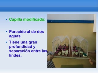  Capilla modificado:
 Parecido al de dos
aguas.
 Tiene una gran
profundidad y
separación entre las
lindes.
 