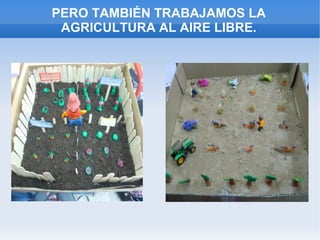 PERO TAMBIÉN TRABAJAMOS LA
AGRICULTURA AL AIRE LIBRE.
 